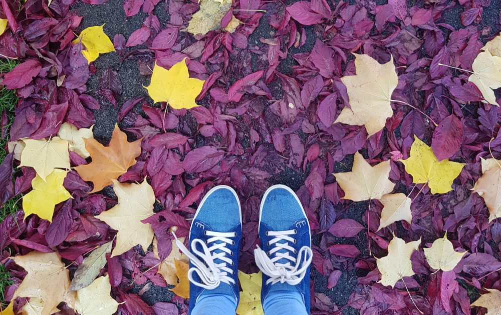 A photo Emma took. View from above of blue shoes and purple and yellow fall leaves.