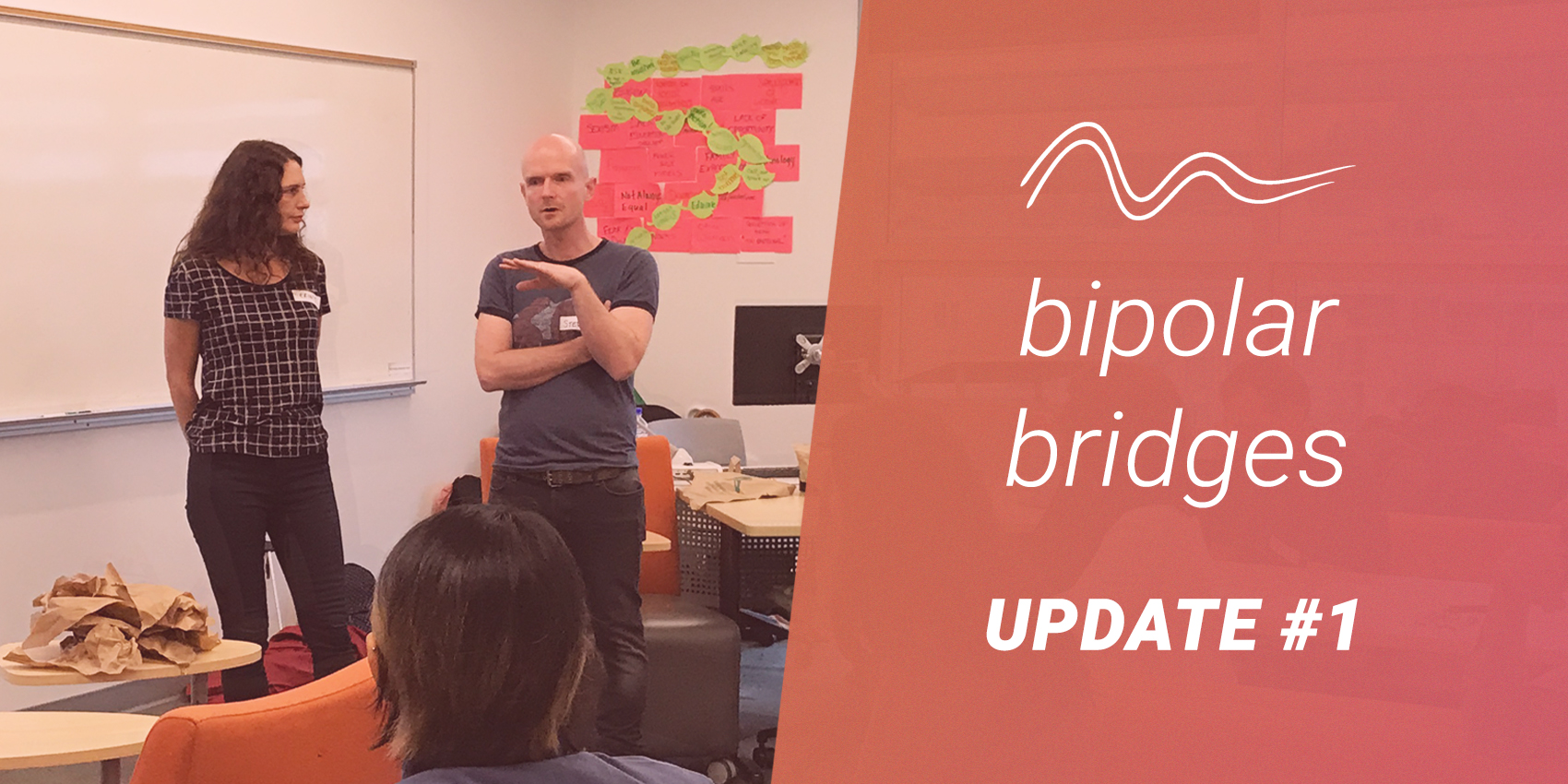 Bipolar Bridges Update 1: Our First Whiteboarding Session!