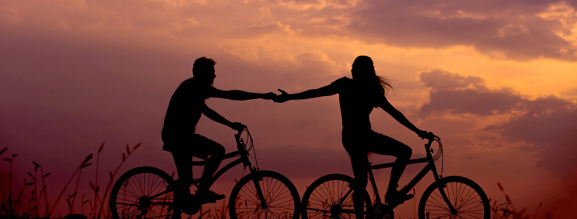 A woman and man biking, silhouetted against a sunset. The women is biking in front and reaching back to hold hands with the man.