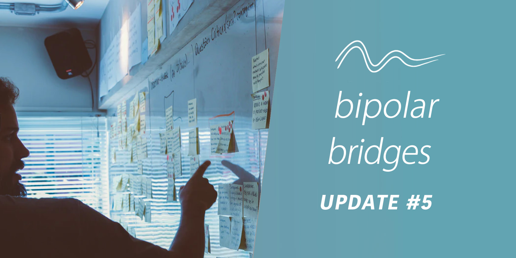 PolarUs Update 5: Introducing The Bipolar Bridges Advisory Group