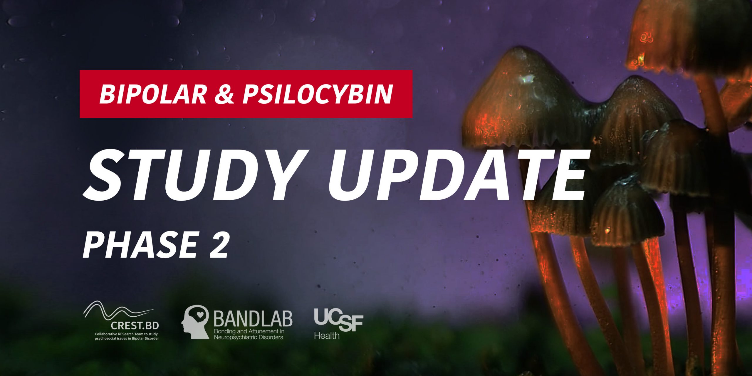 Study Update: Phase 2 of the Bipolar Psilocybin Project