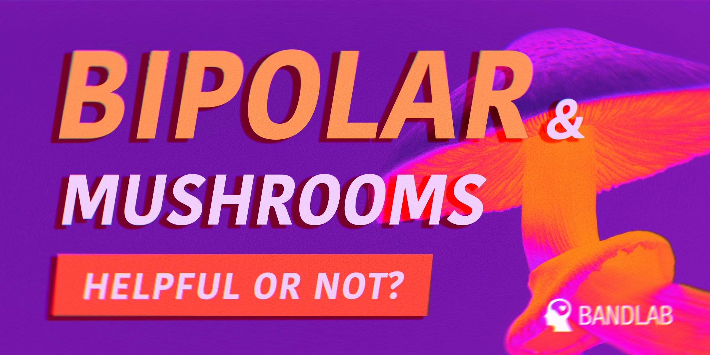 A poster with a orange psychedelic-looking mushrooms against a vibrant purple background. 'Bipolar and mushrooms: helpful or not?' is written on it in big letters.