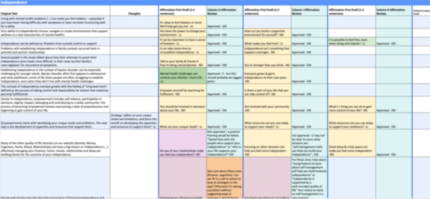 A screenshot of one of the spreadsheets. It is large with many cells and lots of colour-coding. It is intentionally blurred so the content can't be read.