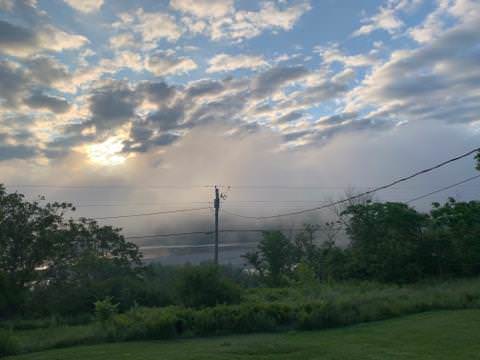 A picture of telephone pole and wires atop verdant grass and tries. The sky is beautiful, with sun breaking through cloud and blue visible above.