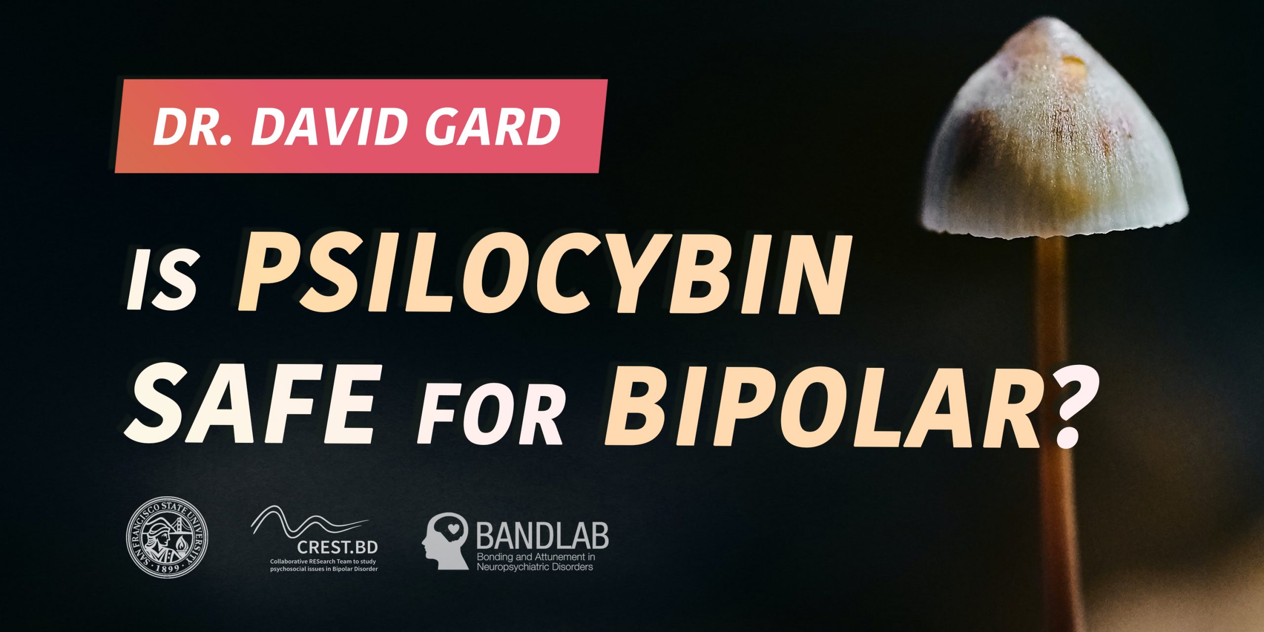 Could Psilocybin Be Helpful In Bipolar Depression? Is it Safe?