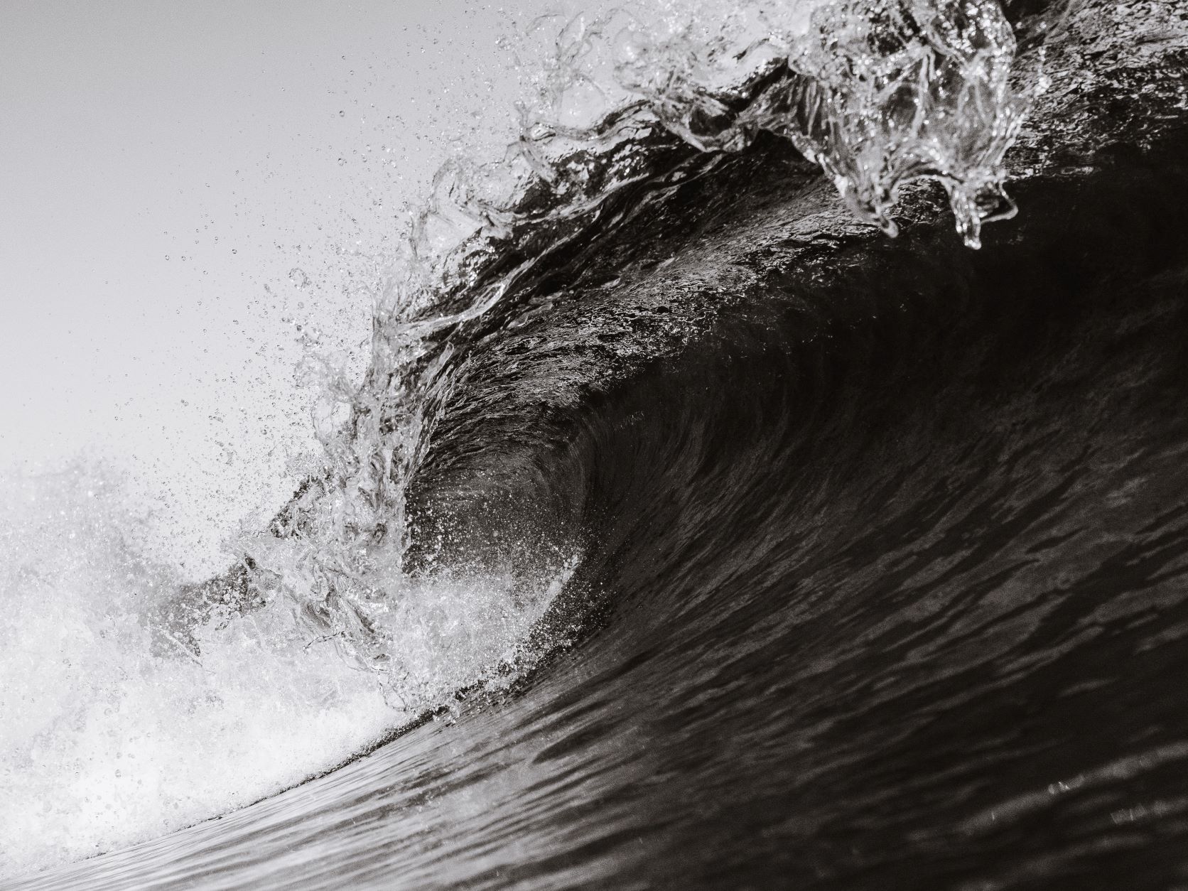 Black and white image of a wave crashing.