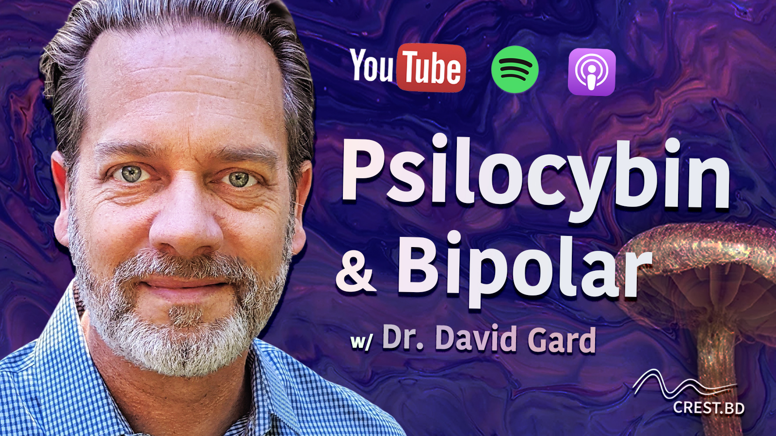 talkBD: Psilocybin & Bipolar Disorder (Dr. David Gard) 🍄