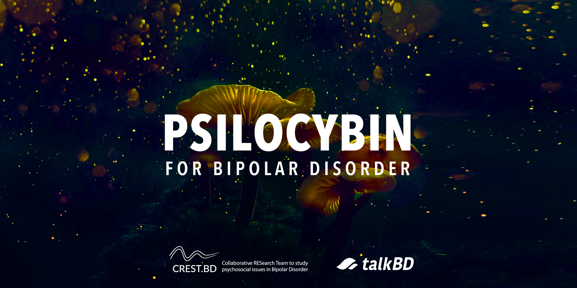 Magic and Mysterious: Interpreting the Risks and Benefits of Psilocybin Use for People with Bipolar Disorder